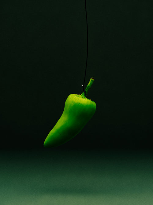 Grønn jalapeño som henger i en tråd, mot mørk grønn bakgrunn